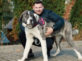 Happy End gesucht für Lucio