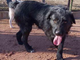 Mayu ! Black ist beautiful !