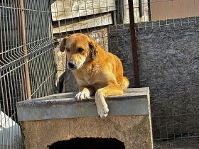 Lilly * reserviert *