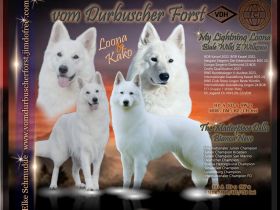 vom Durbuscher Forst