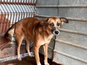 Wann dürfen Daisys Augen endlich strahlen?