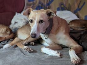 Zeigst du PAVEL wie schön die Welt ist?