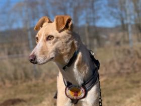 Zeigst du PAVEL wie schön die Welt ist?