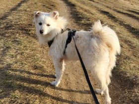 Willst du meine Familie sein?