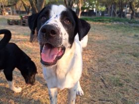 Kleiner Schatz Apollo