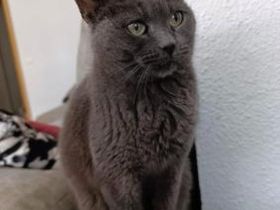 Aruba, Einzelprinzessin