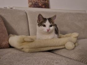 MAYA ❤️ DRINGEND!