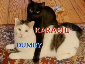 KARACHI und DUMBY ❤️