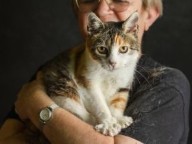 Nelli wünscht sich ein eigenes Zuhause