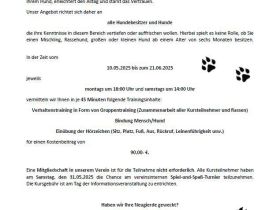 Grundgehorsamskurs 2025 des VfH Leimersheim