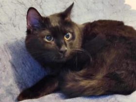 GUFI ❤️ LIEBT KONAKT ZU MENSCHEN