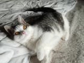 MISSY  ❤  MIT DEN BEZAUBERNDEN AUGEN