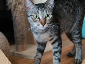 Frida möchte dein Leben bereichern!