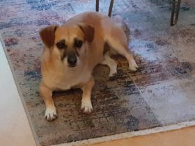 SOS - Leni Mausebär