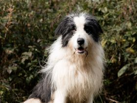 Paul sucht seine Menschen