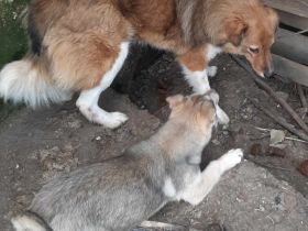 Franzi – Eine besondere Seele sucht ihr Glück!