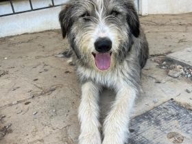 Ra - ein Herz das vertrauen will