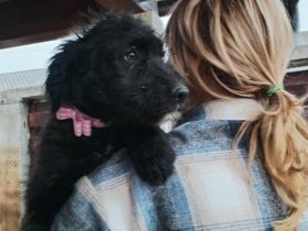 Amilie bringt Leben ins Haus