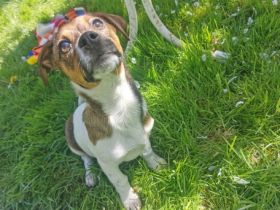 Kleine Racker wartet auf seine Familie