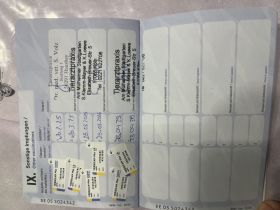 Liebe RR Rhodesian Ridgeback zu verkaufen