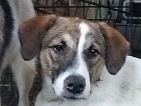 Wer sieht die schöne Kira?