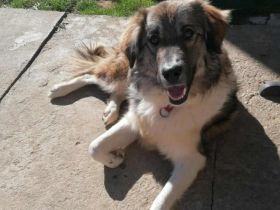 Tequila lässt dein Herz aufgehen!