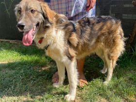 Tequila lässt dein Herz aufgehen!