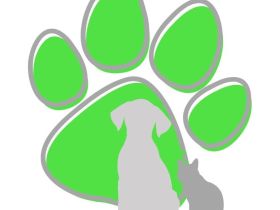 Mobiles Hundetraining in FFB, STA, DAH