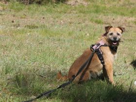 Sara etwas schüchtern, sehr lieb