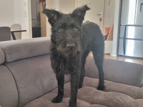 Hat sich Pineta in dein Herz geschlichen?