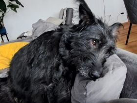 Hat sich Pineta in dein Herz geschlichen?