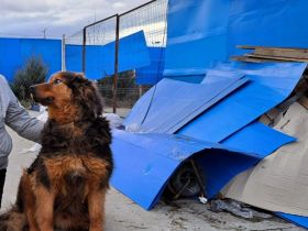 Neelix wartet schon so lange
