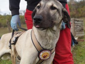Matze erobert dein Herz im Sturm!