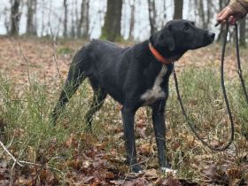 Laba möchte mit dir die Welt entdecken