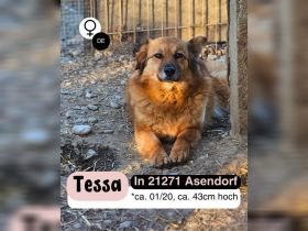 Sanfte TESSA sucht Dich