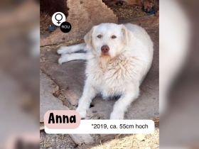 Die zauberhafte ANNA