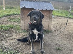 Die zauberhafte Vega möchte ankommen!