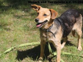 Flora, braucht Sicherheit und Liebe