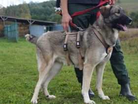 Amazones Vergangenheit war dunkel, kannst du ihr Licht sein?