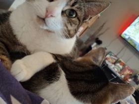 Geschwisterduo sucht ein neuen Dosenöffner