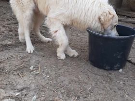 Marco sucht seine Menschen!