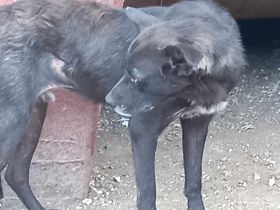 Marius – ein verlorenes Herz auf der Suche nach einer zweiten Chance!