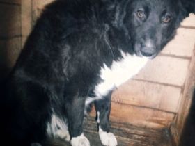 Marlen sucht ihren Herzensmenschen!