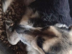 Ein Herz sucht ein Zuhause – Melcom wartet auf dich!