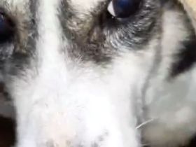 Ohna – eine sanfte Seele auf der Suche nach Geborgenheit!