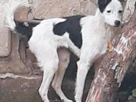 Palina – Eine Mutter mit einem großen Herzen sucht ihr Glück!