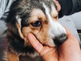 Wen trifft Paulis Blick mitten ins Herz?