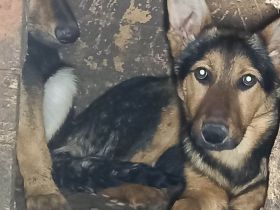 Peggy – Ihre zweite Chance im Leben wartet!