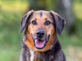 Elsa sucht ihre Familie