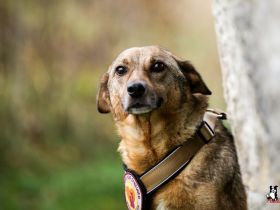 Wer zeigt Nice, wie schön das Leben ist?